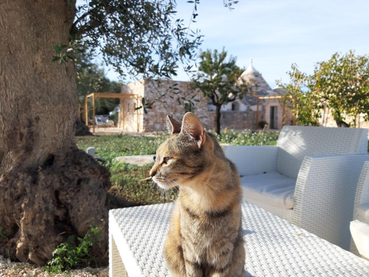 Il Fiore Della Vita Trulli Country House Conversano Ngoại thất bức ảnh