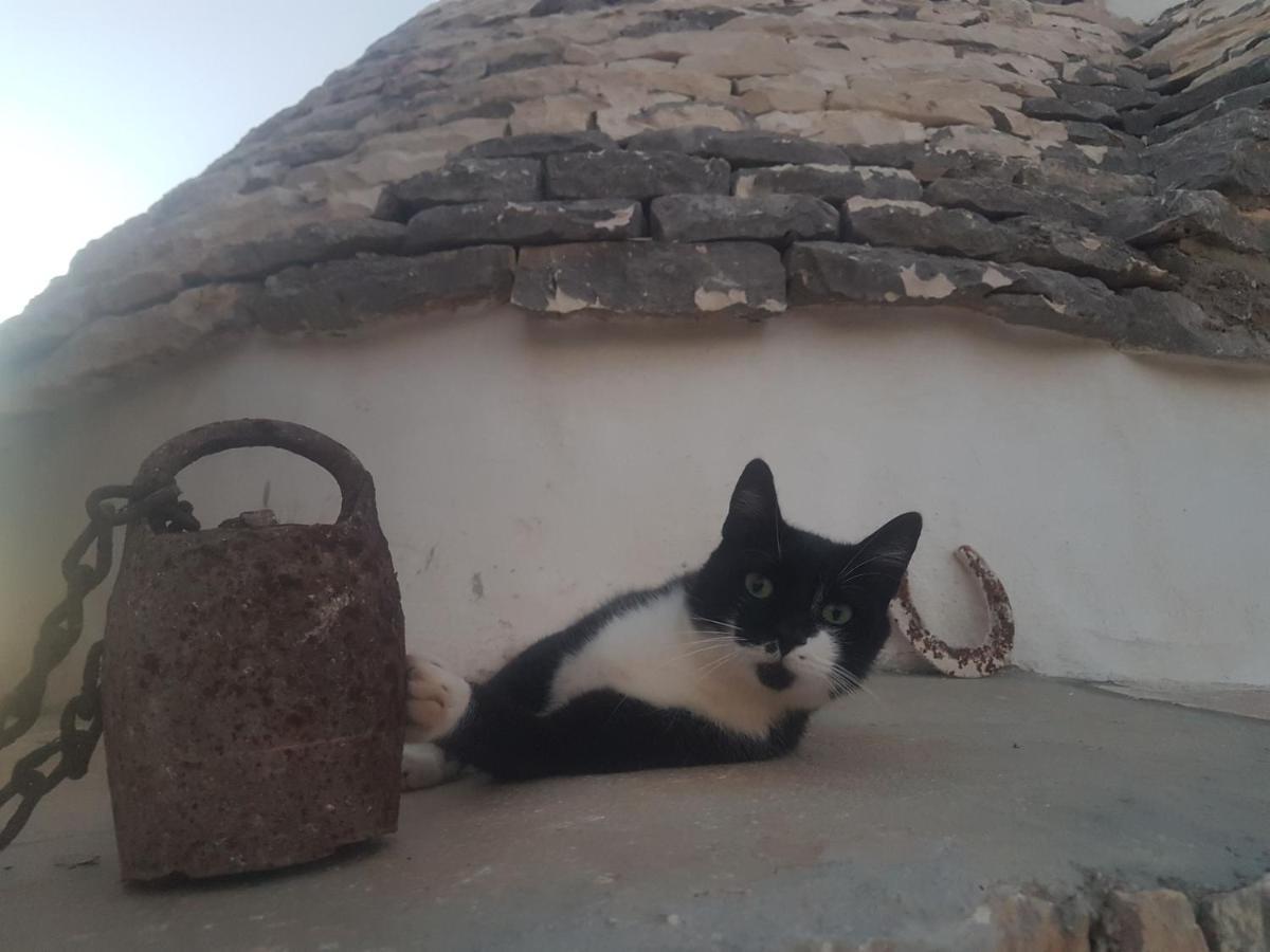 Il Fiore Della Vita Trulli Country House Conversano Ngoại thất bức ảnh