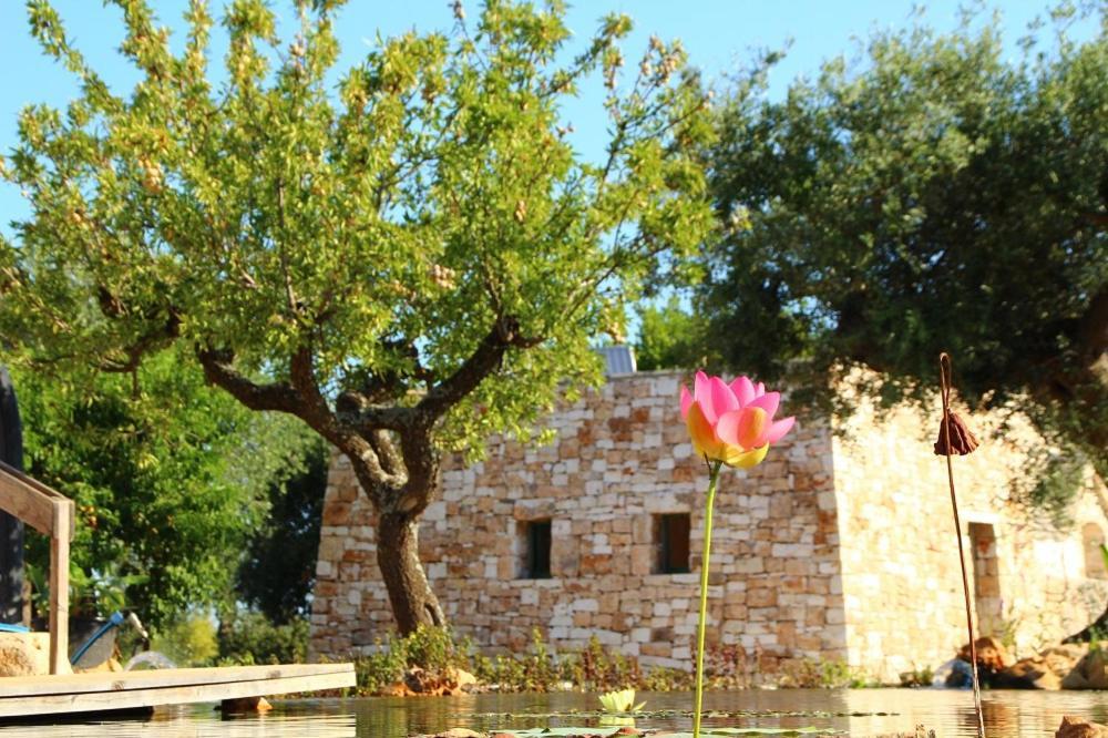 Il Fiore Della Vita Trulli Country House Conversano Ngoại thất bức ảnh